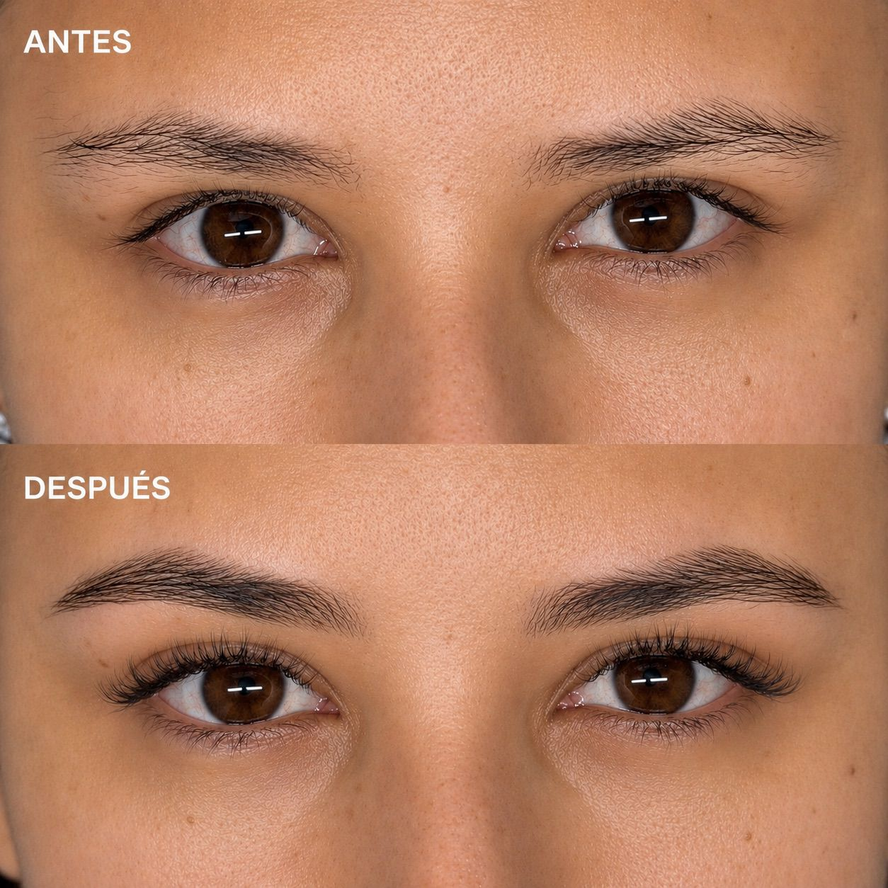 Brow Lamination by Geral Lujan
